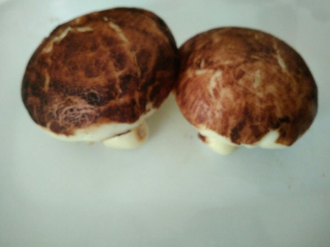 仿真香菇包