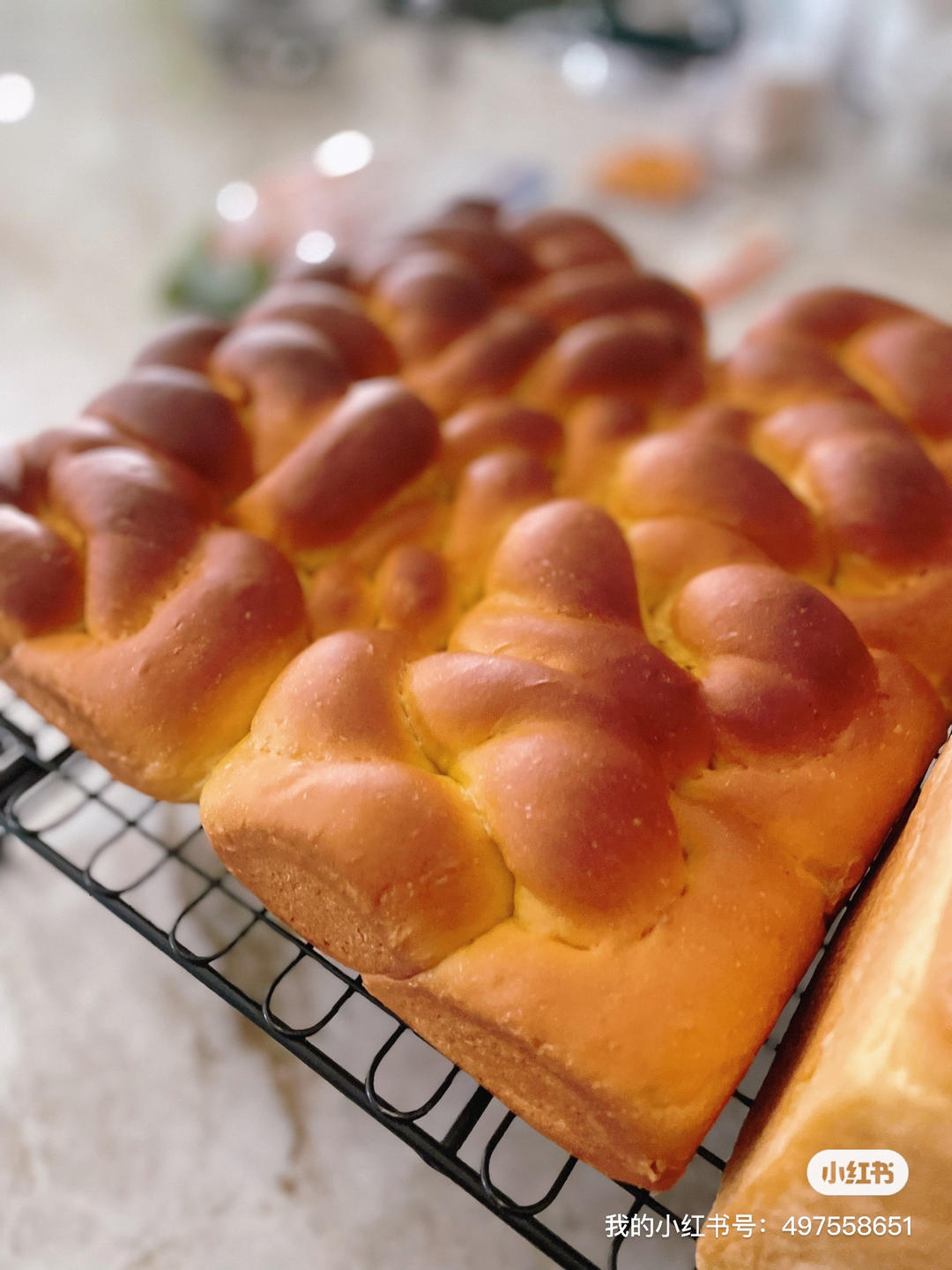 无一滴水的南瓜老面包