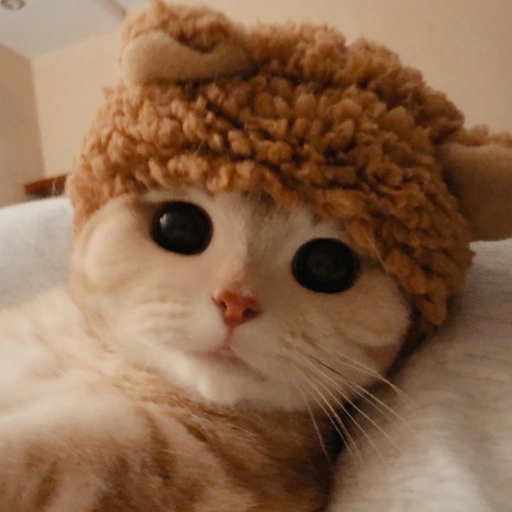 爱上烘焙的颖崽