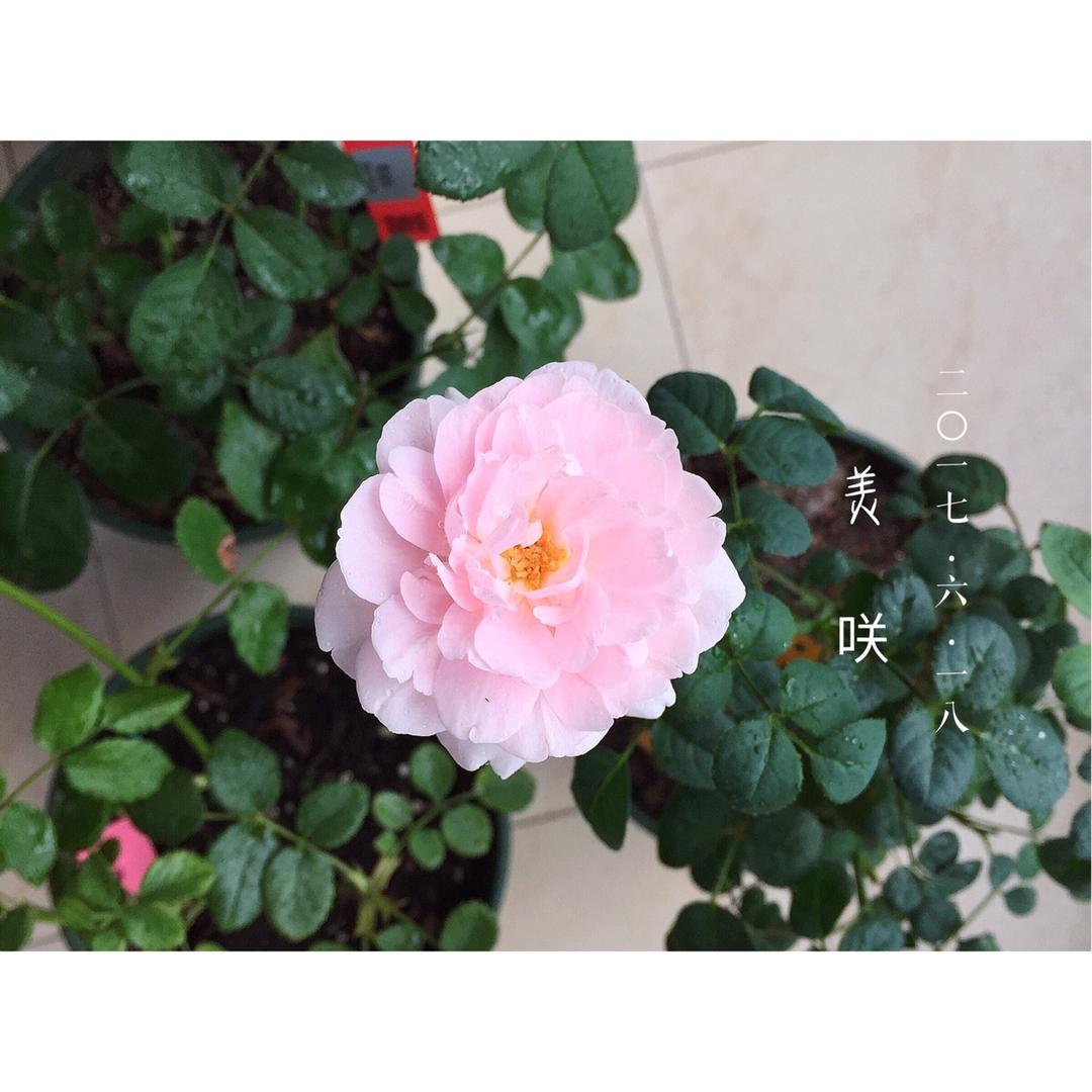 小记录噔噔噔٩꒰⍢ ꒱۶