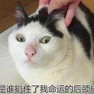 丶世界之大