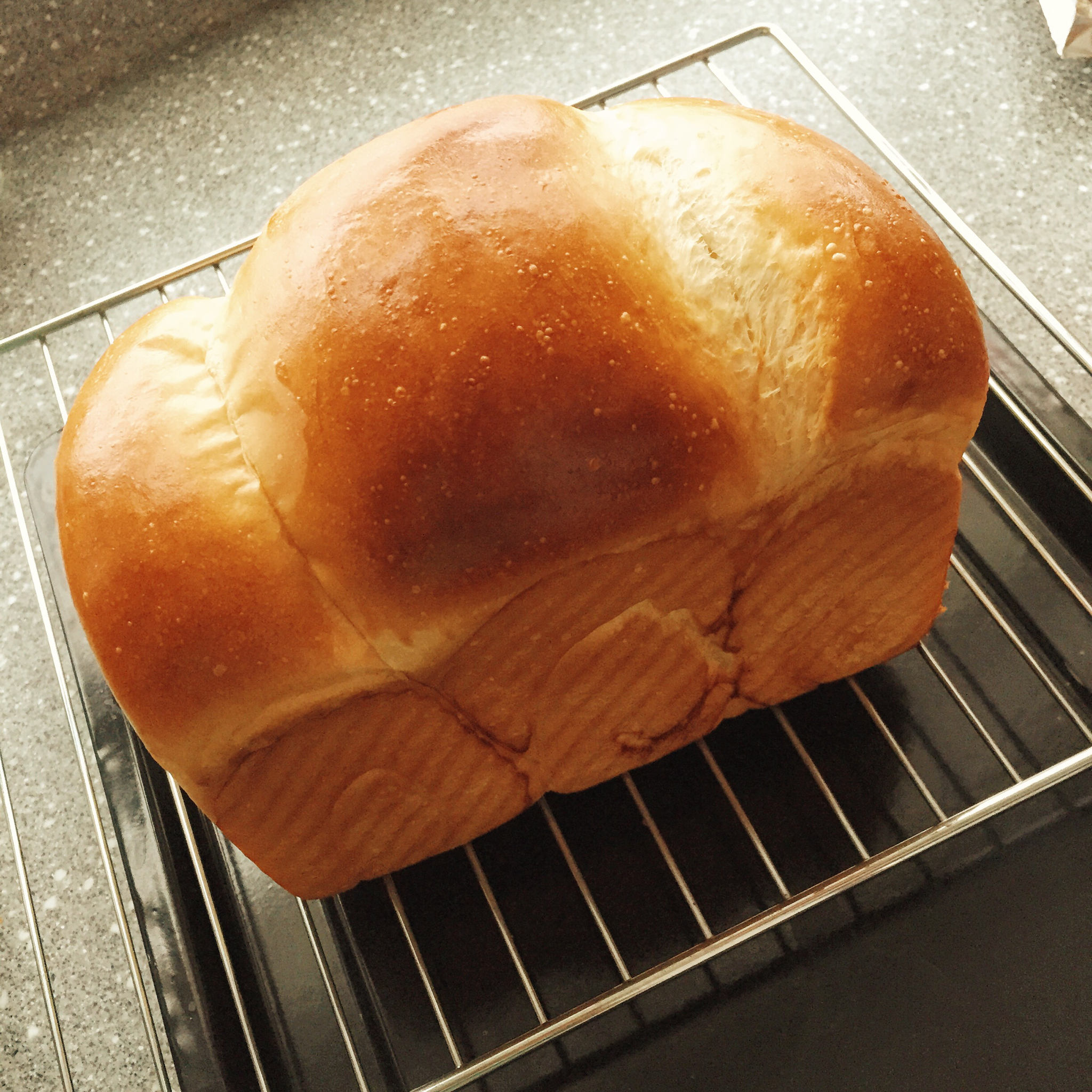 基础面包制作 Basic Bread (Loaf&Roll)