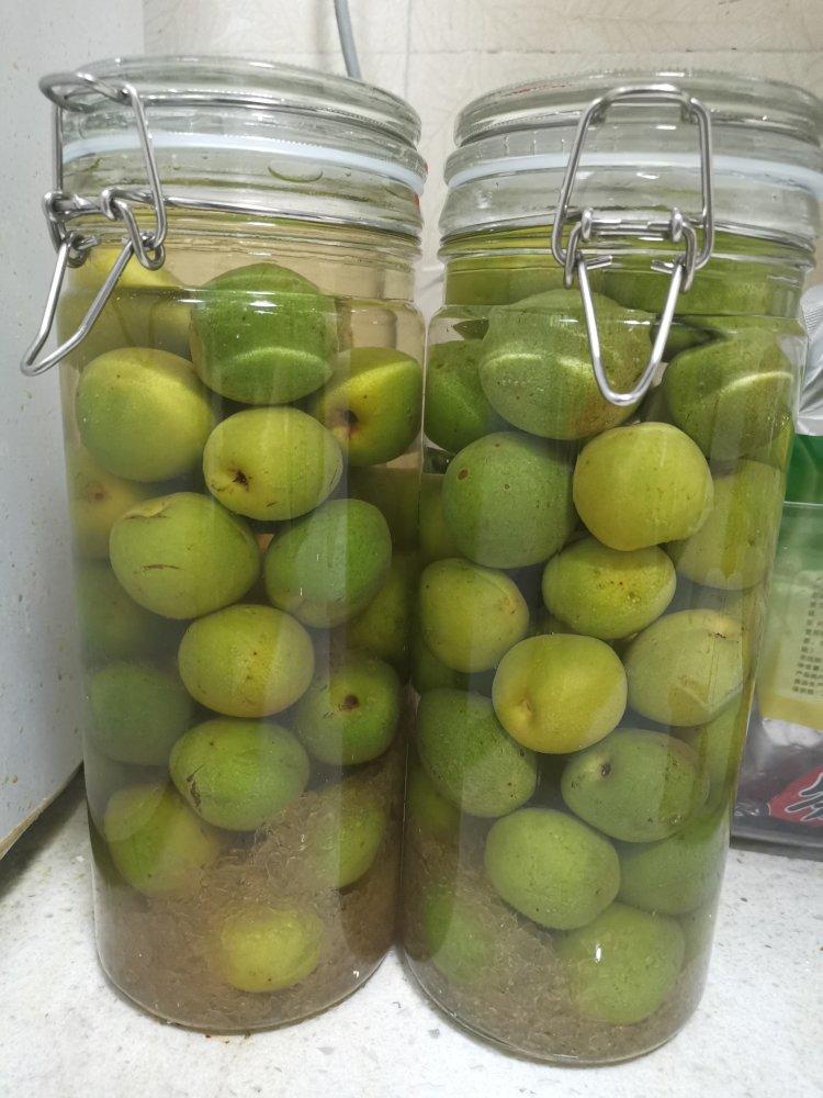 青梅酒（优的春日私酿第二話）