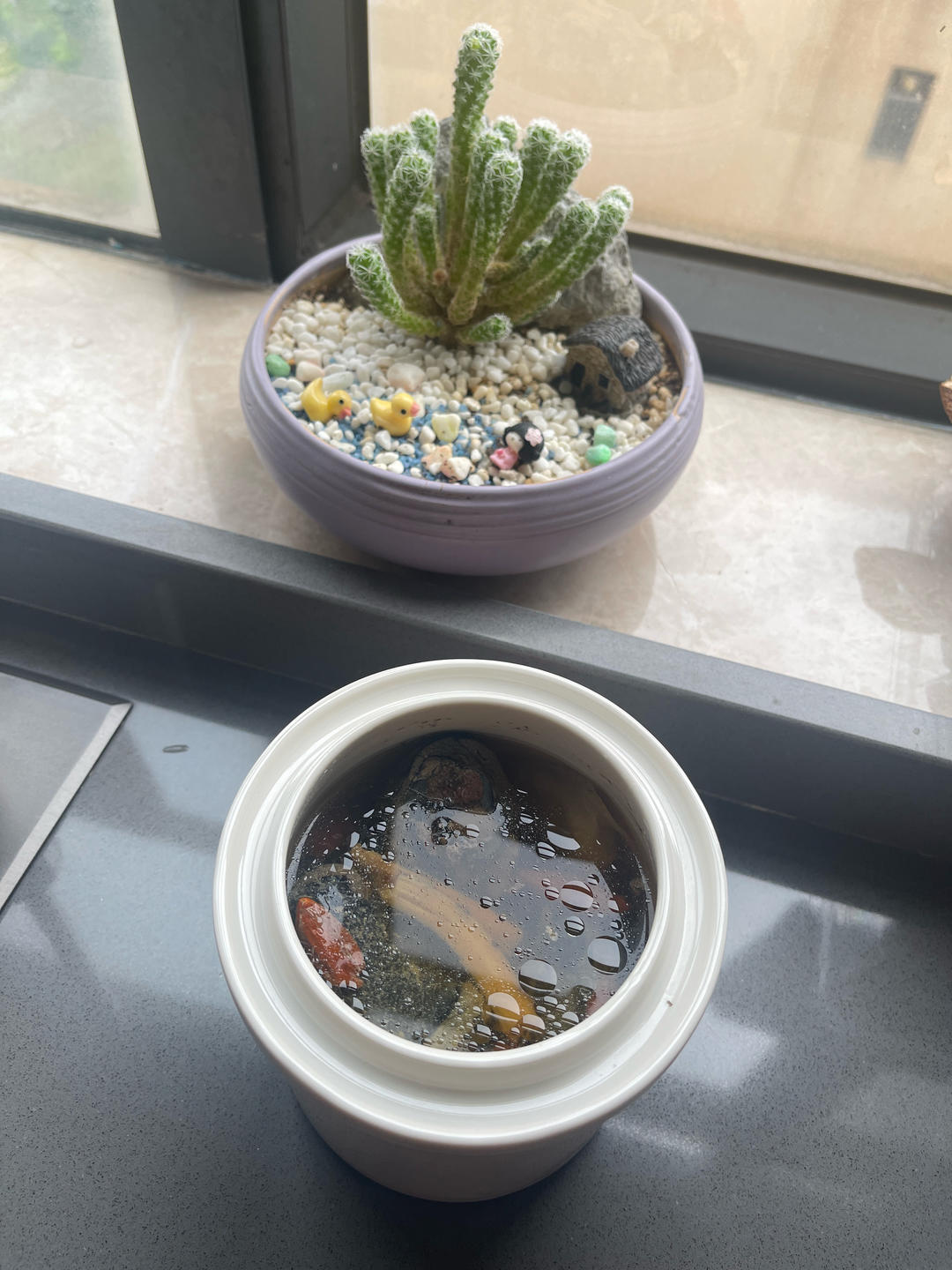 灵芝天麻乌鸡汤