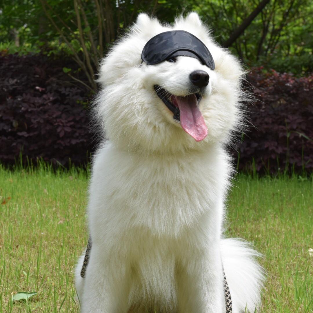 二佩笑开了花