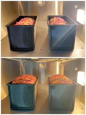 双色紫薯芋泥吐司的做法 步骤11