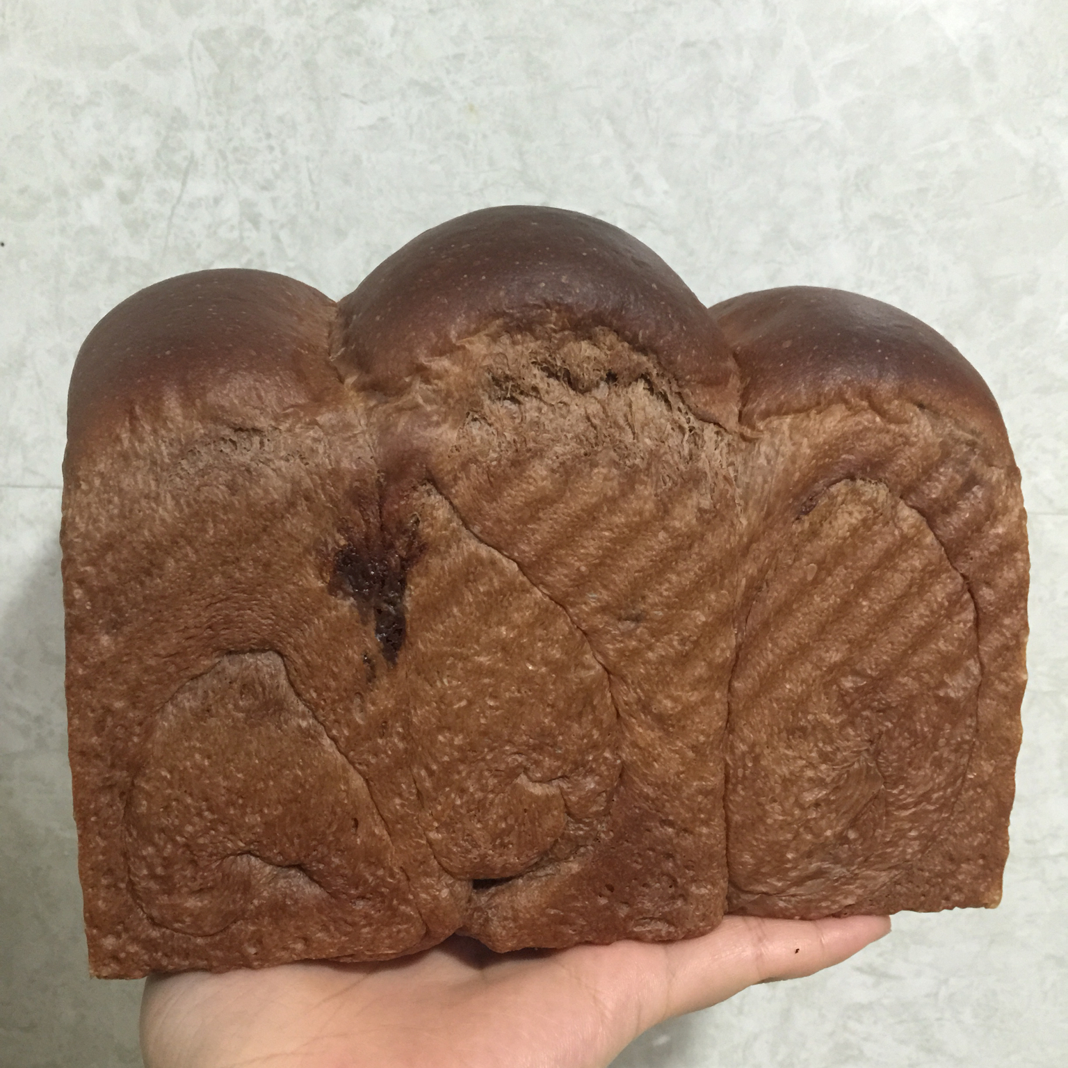 北海道吐司（70%冷藏中种法）