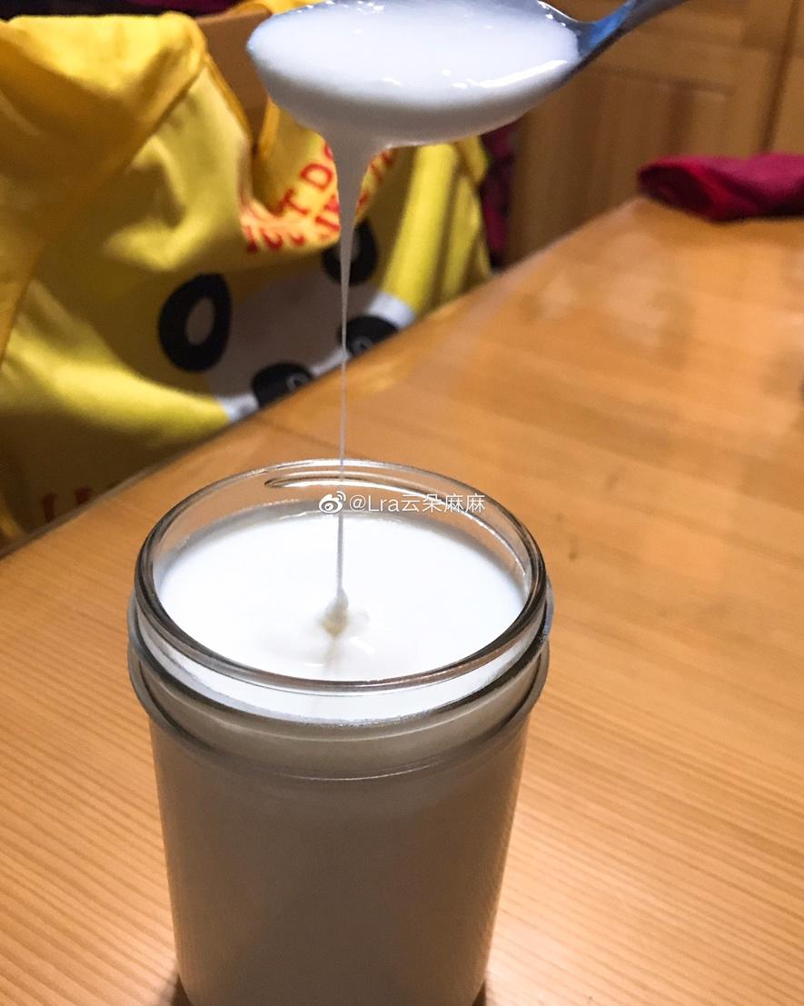 酸奶 秘制风味酸奶