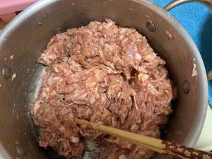 白菜猪肉饺子/煎饺/锅贴的做法 步骤3