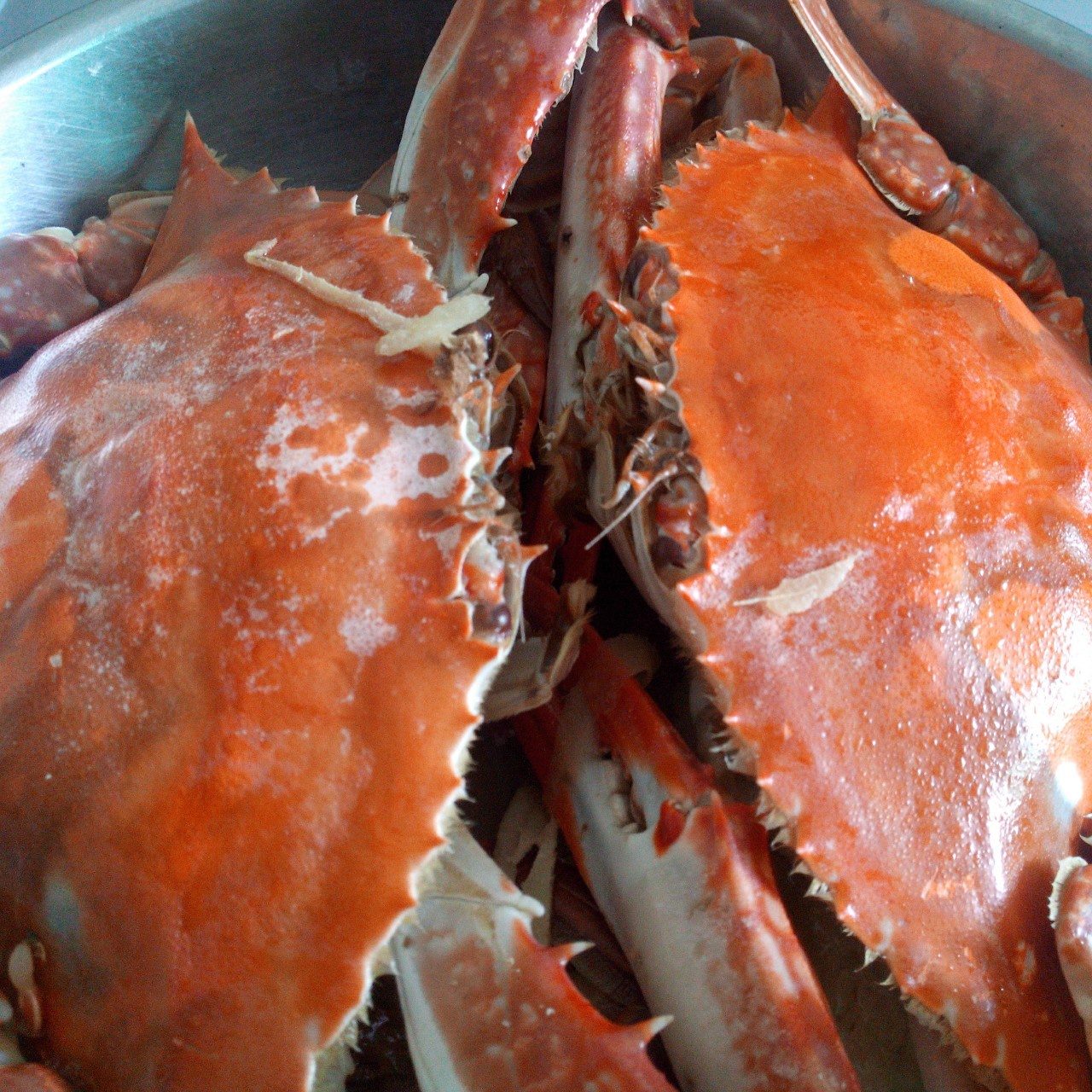 懒人版全蛋蛋挞