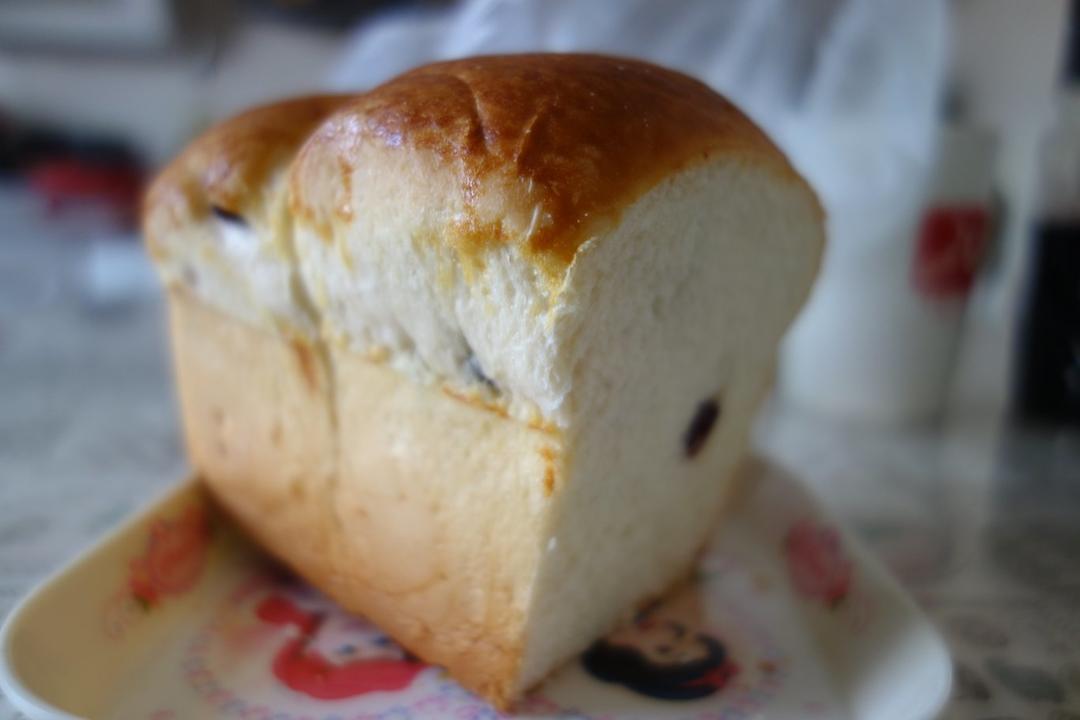 老面包（爱和自由）