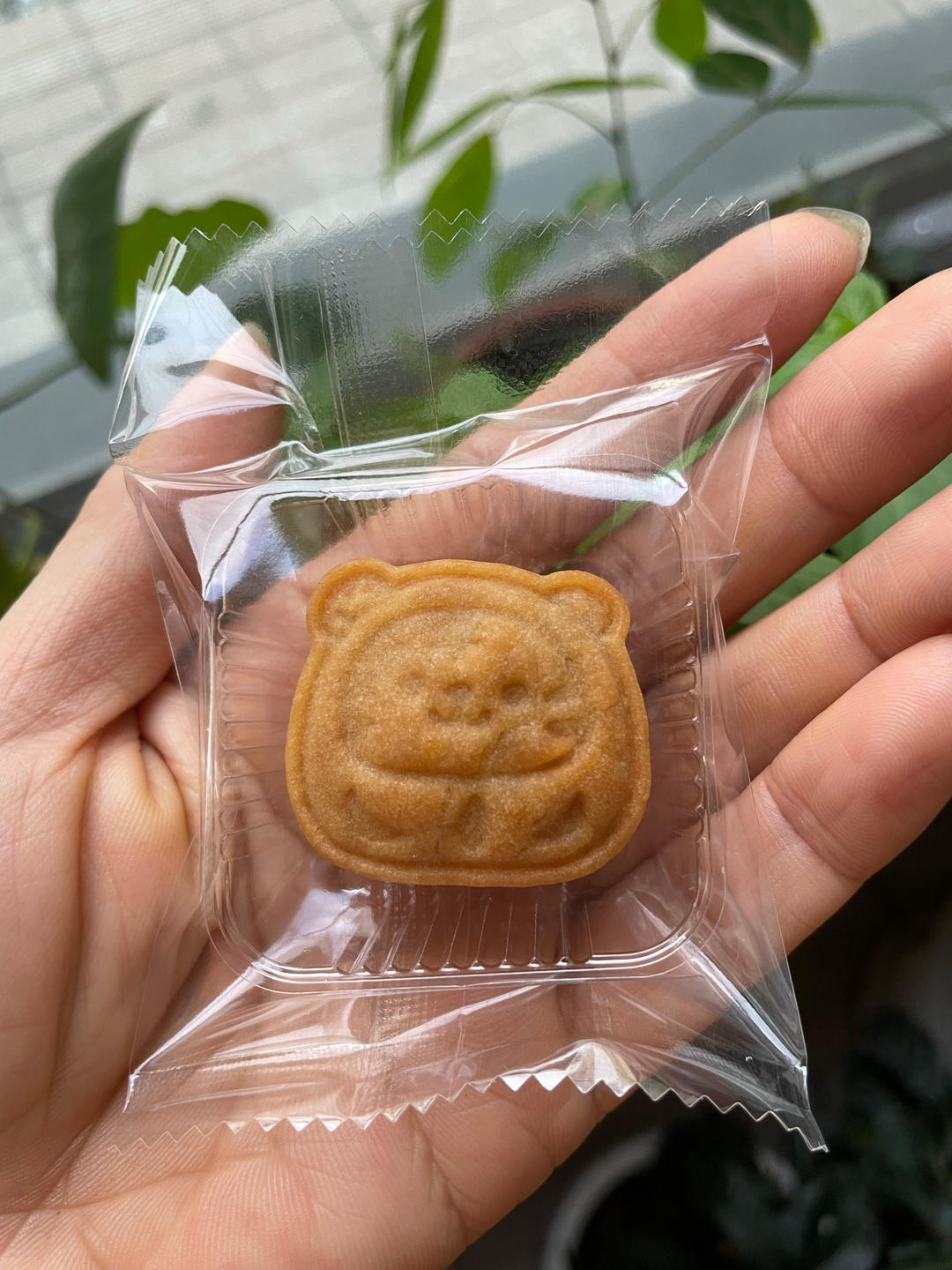 广式月饼
