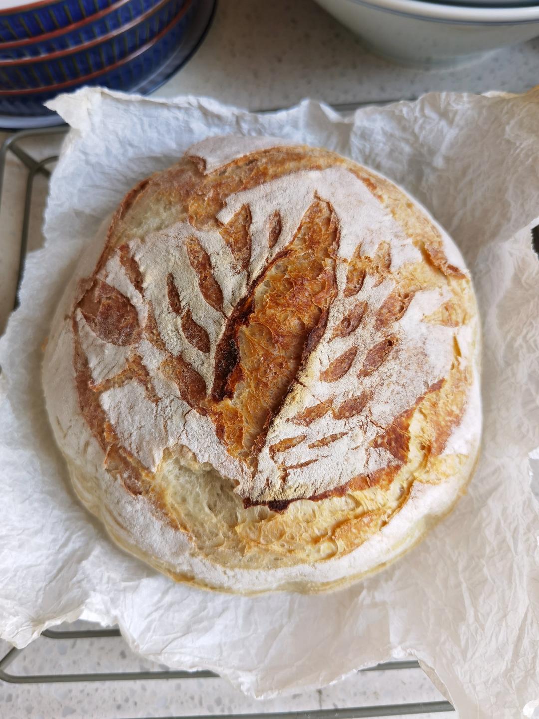 新手披萨饼皮pizza(能开餐厅那种)