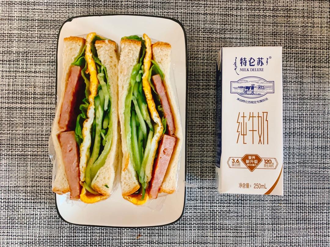 营养一网打尽，美好一天从三明治🥪开始