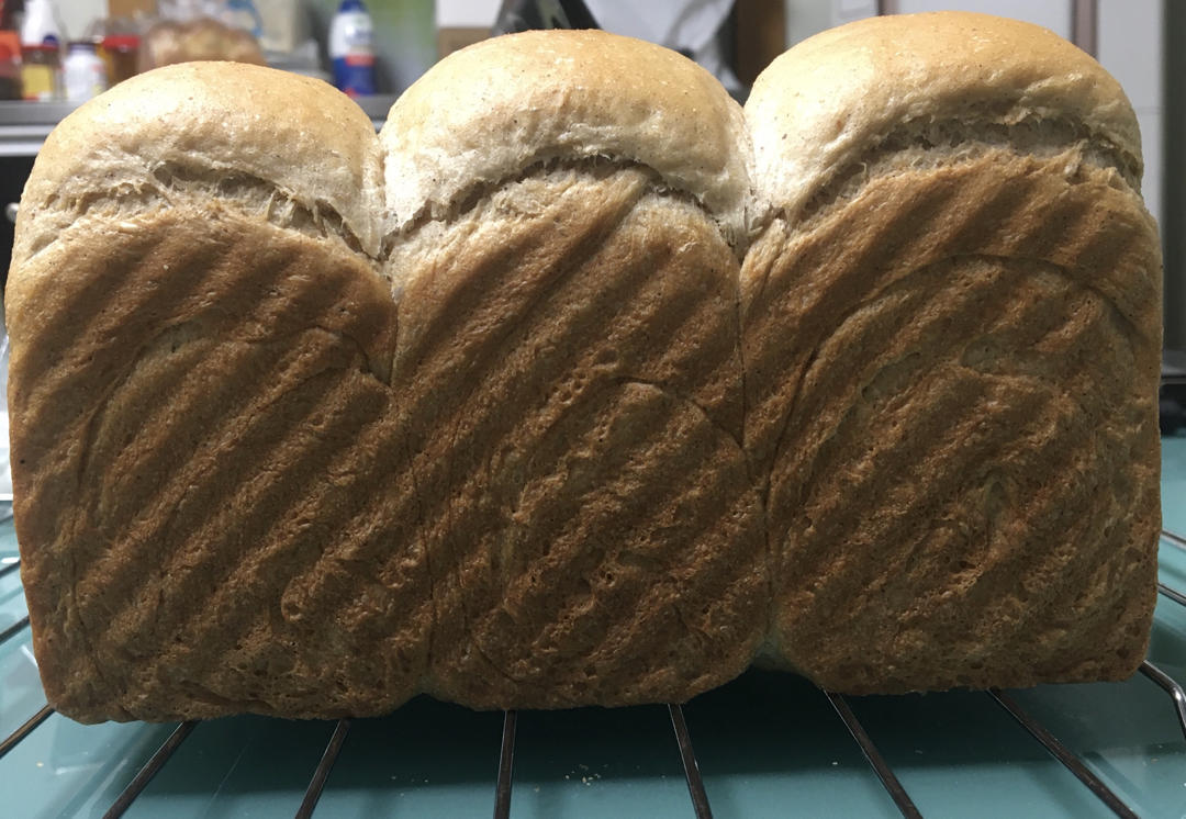 黑麦吐司 70%黑麦 波兰种