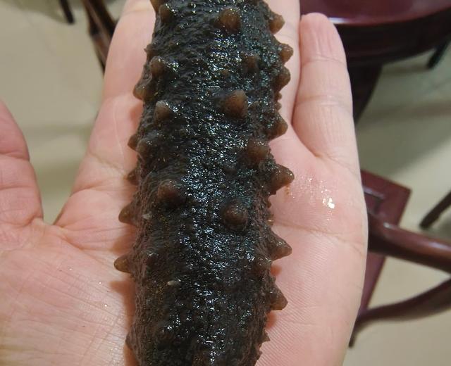 泡发海参的做法