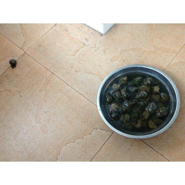 食材日日鲜