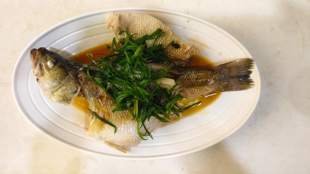 比清蒸鱼更简单省事-油盐水浸鱼🐟