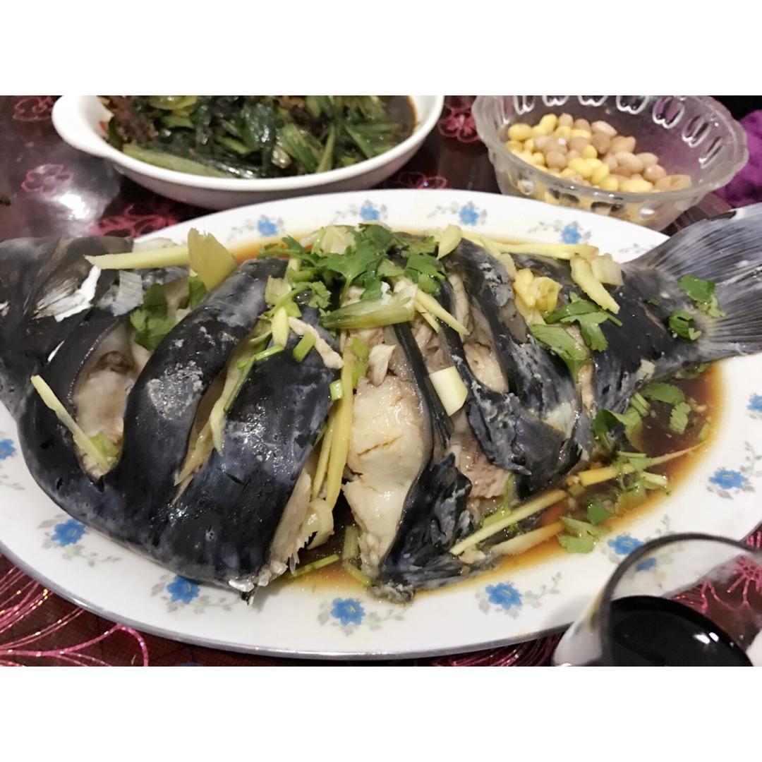 清蒸黑鱼的做法