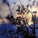 海尔弟弟在这里_