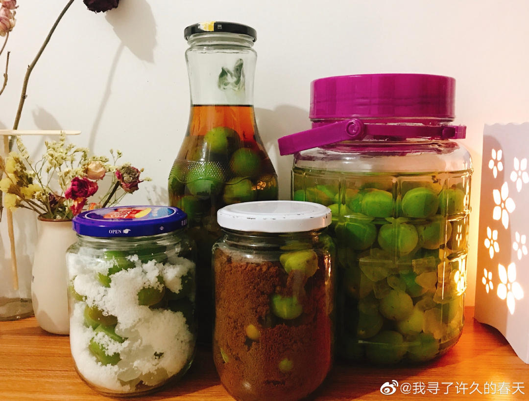 【青梅酒】梅子的沉醉时光（已填坑）