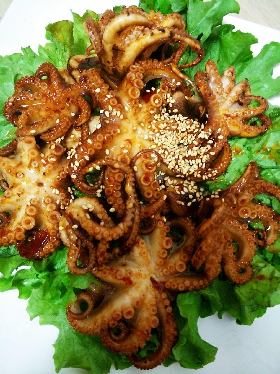 芝麻八爪鱼