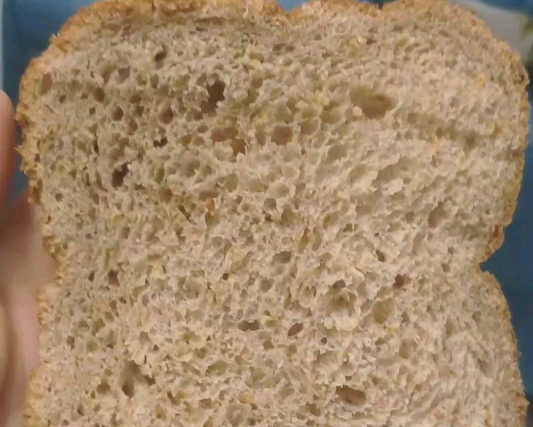 冬季全麦（面包机版本）的做法 步骤4