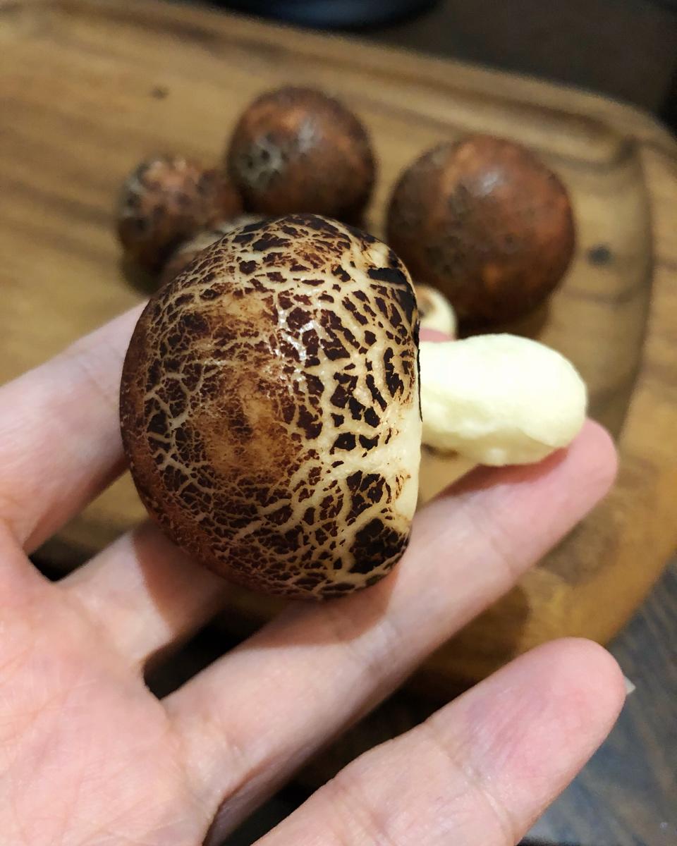 【香菇馒头】如何做以假乱真的香菇小馒头