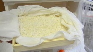 自制米麴（米曲）的做法 步骤10