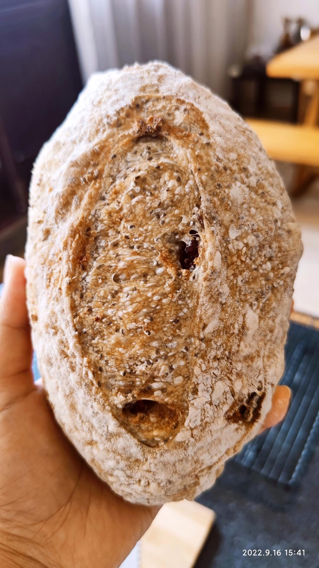 无油无糖·奇亚籽蔓越莓硬欧包（免模具）