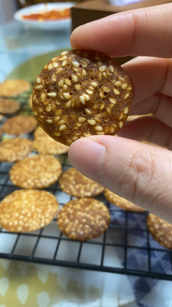 芝麻薄饼-快速消耗蛋白