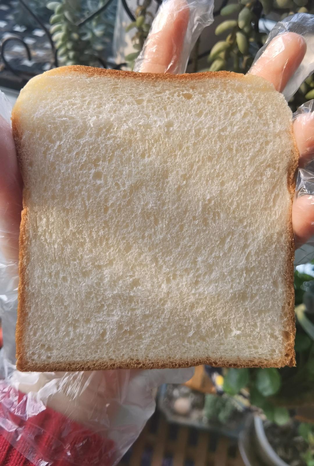 北海道吐司--100%中种