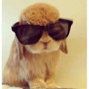 手残腻黑兔是苦行僧