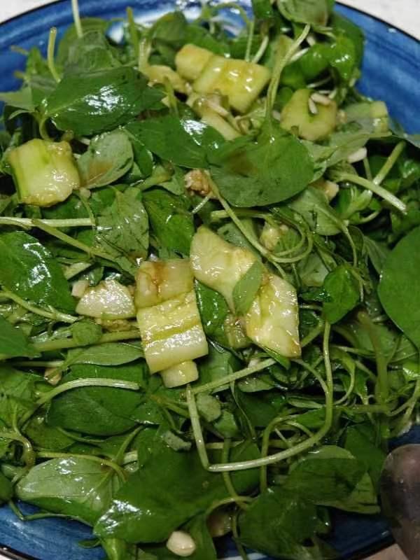 荆芥拌黄瓜
