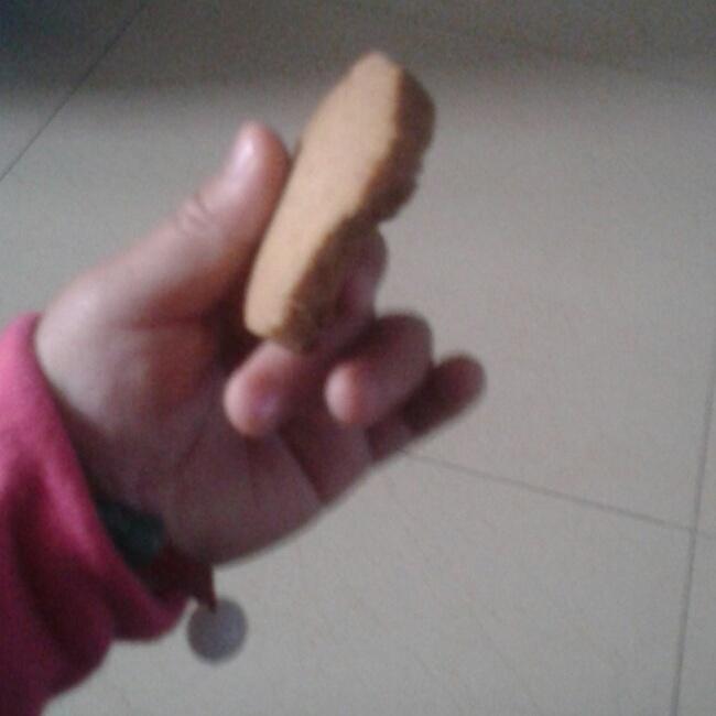 酥酥的饼干～～自创