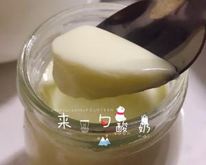 自制酸奶（A2全脂奶粉）的做法 步骤8