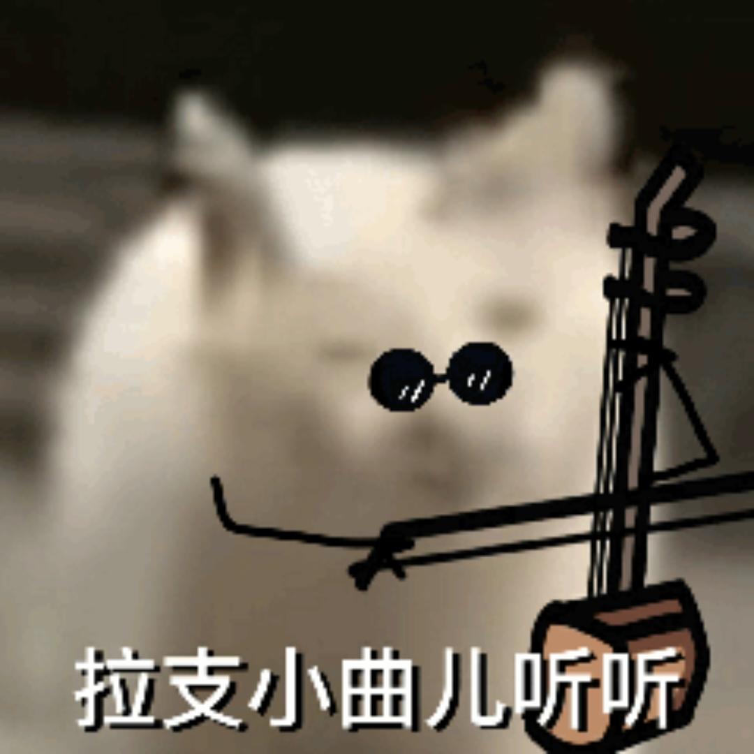 烧菜小白Y