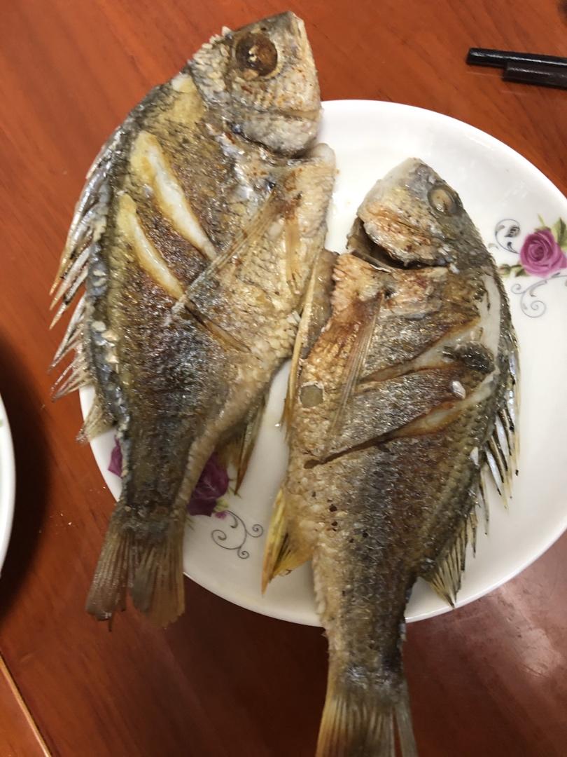 香煎黄翅鱼的全部作品