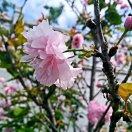 天天在现