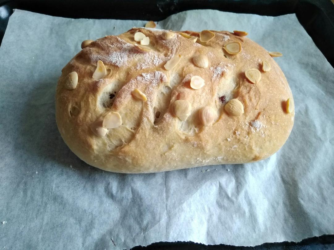 免揉迷你吐司（藤田千秋）