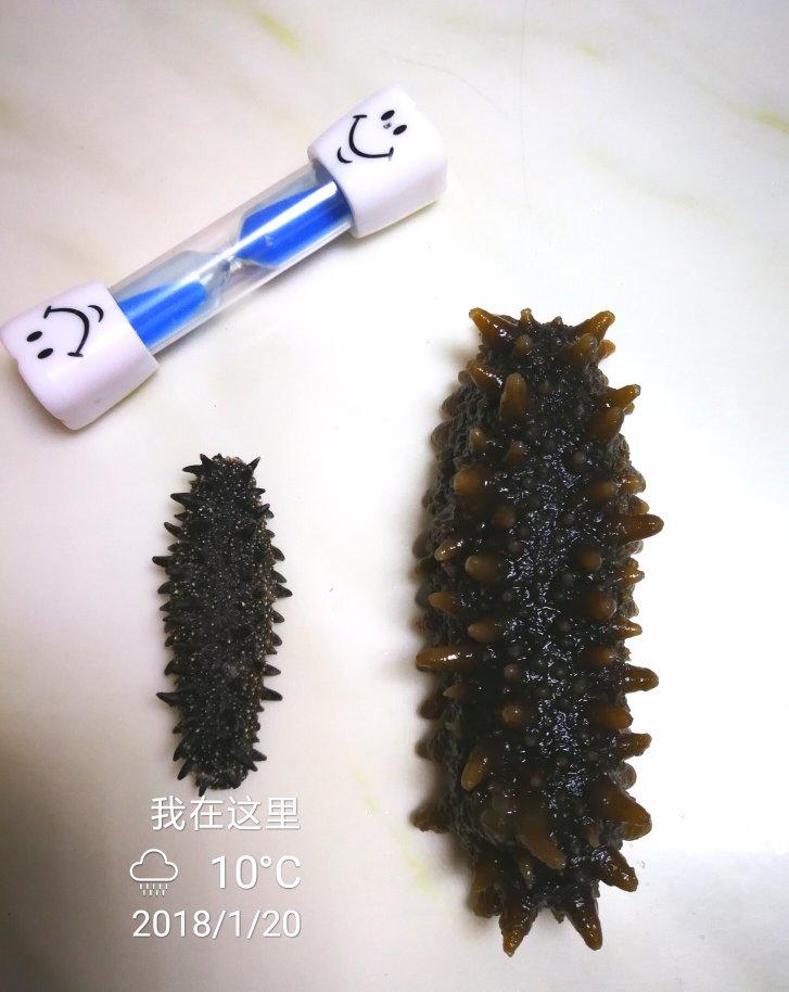 海参泡发攻略