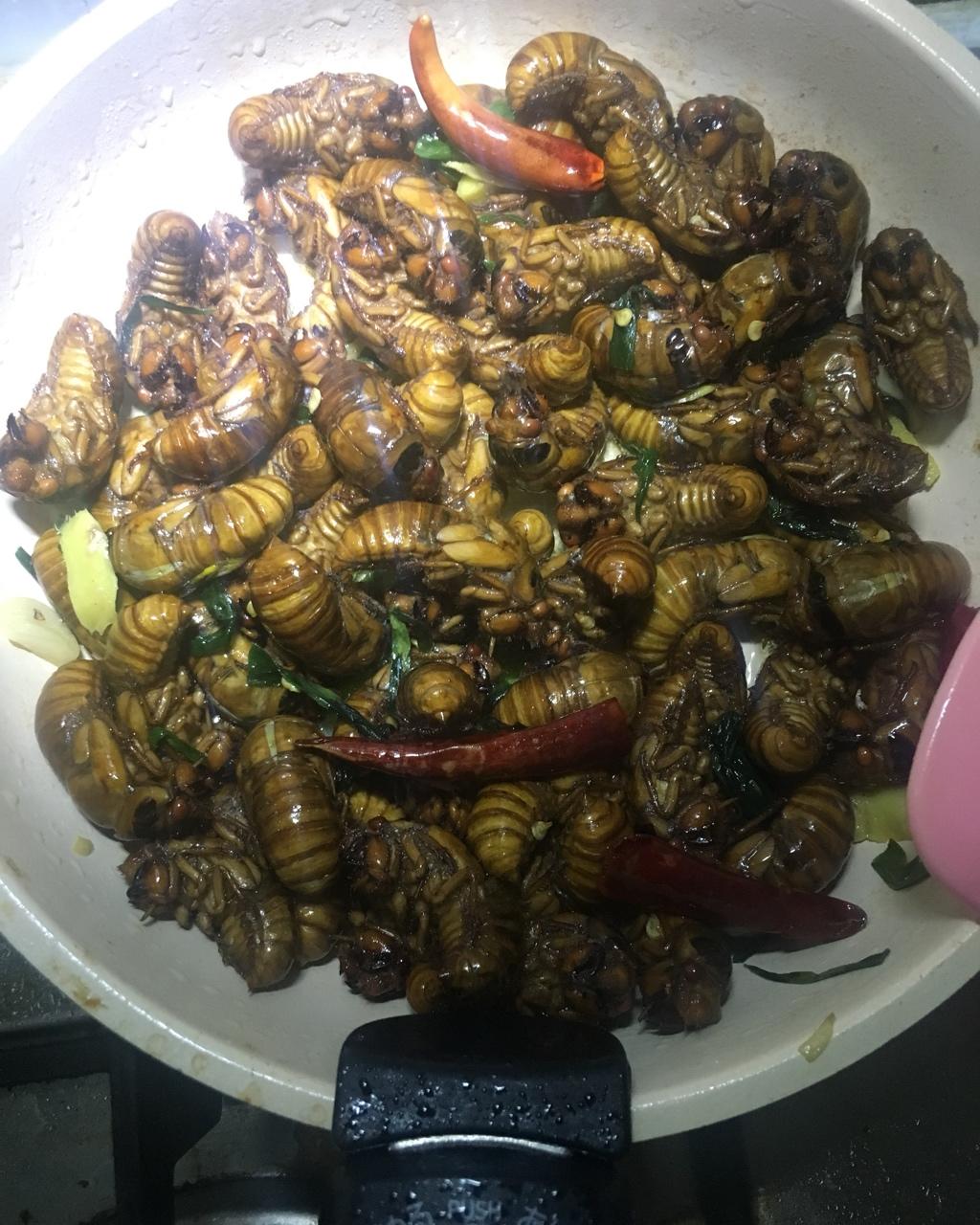 手机用户2283_os0r做的爆炒知了猴