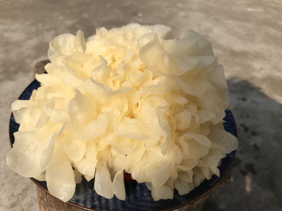 银耳出胶有诀窍，只需记住这两步，人人都能做出来味道正宗，口感到位的银耳羹