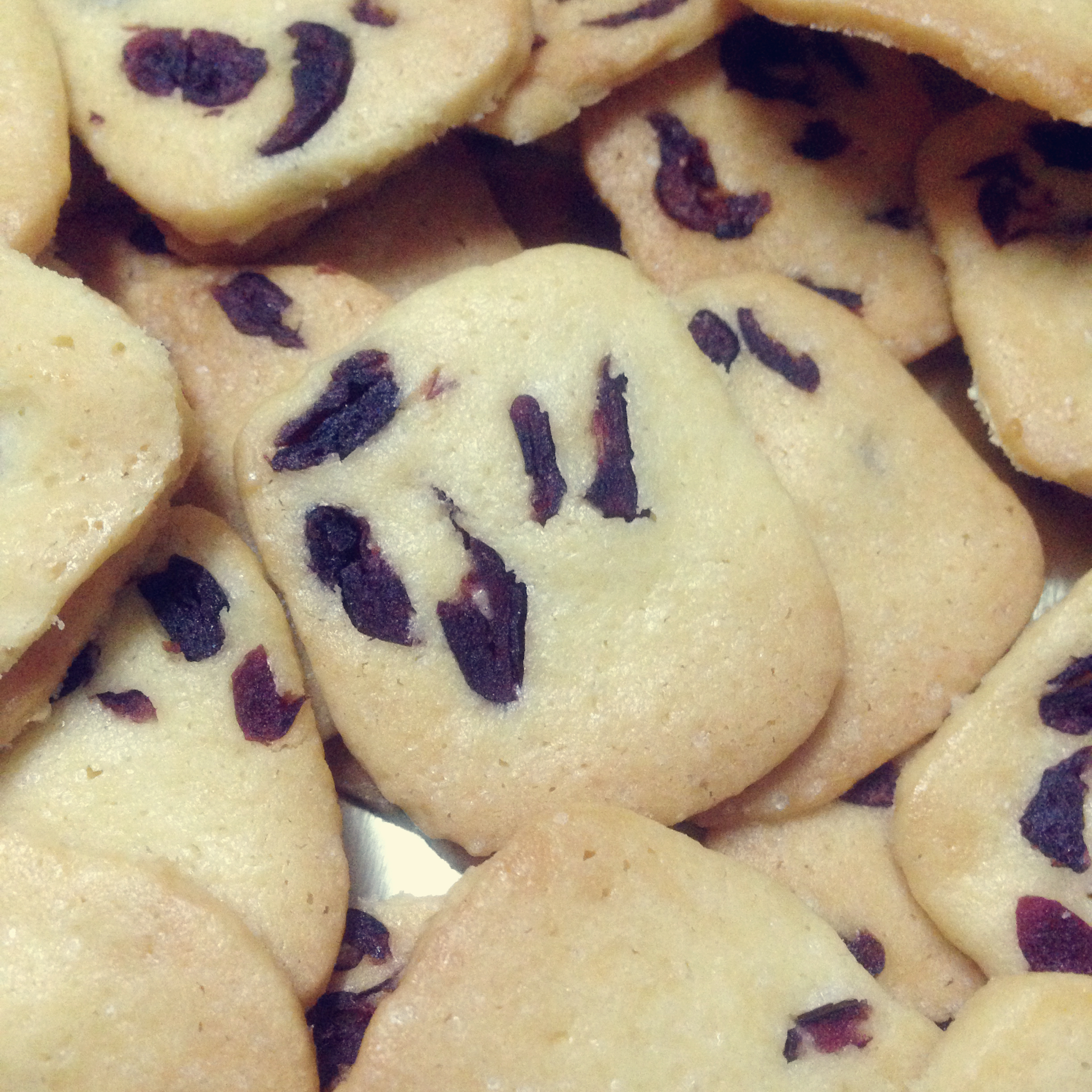 蔓越莓饼干--新手烘焙0压力 #皮黑森林#