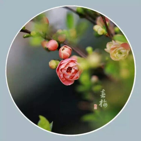 闲看棋子落花灯