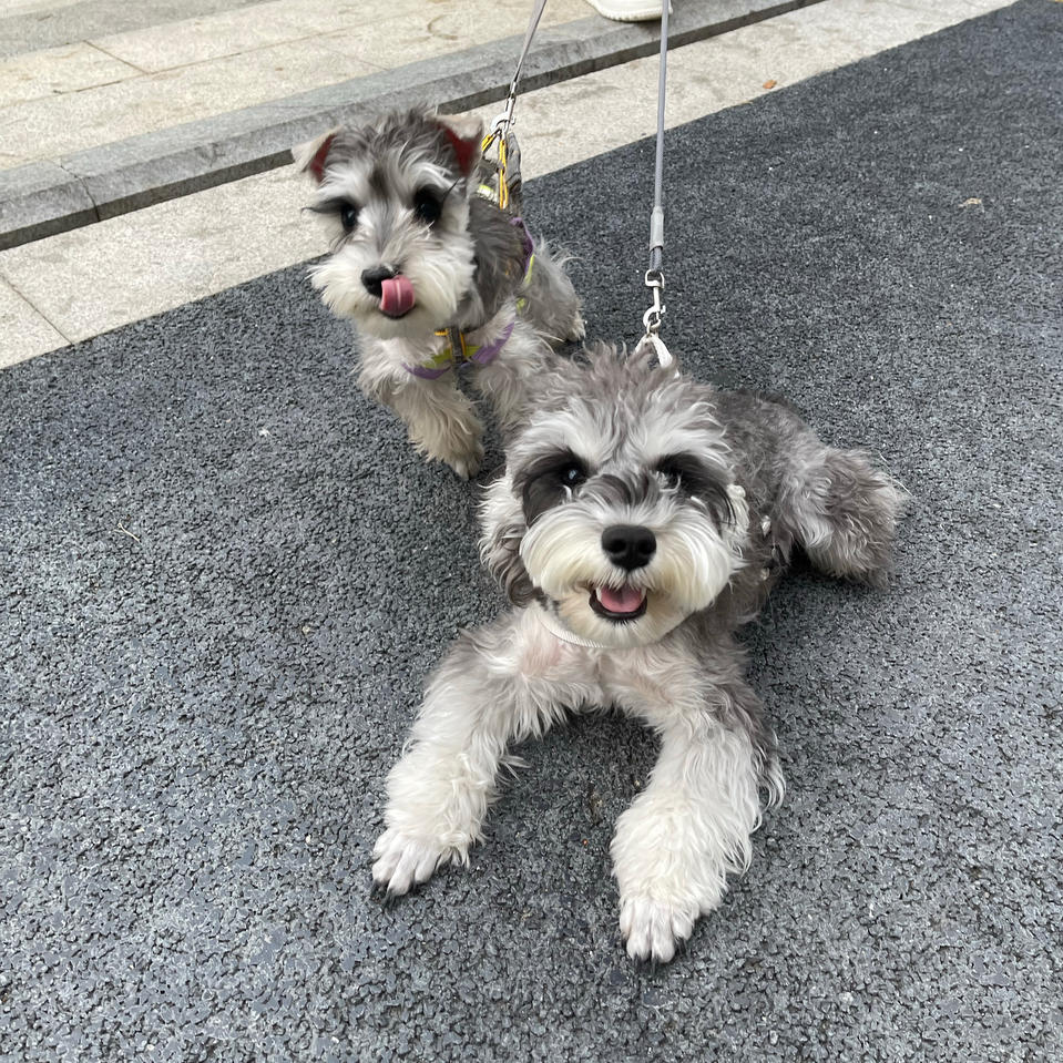 小兔厨房历险记