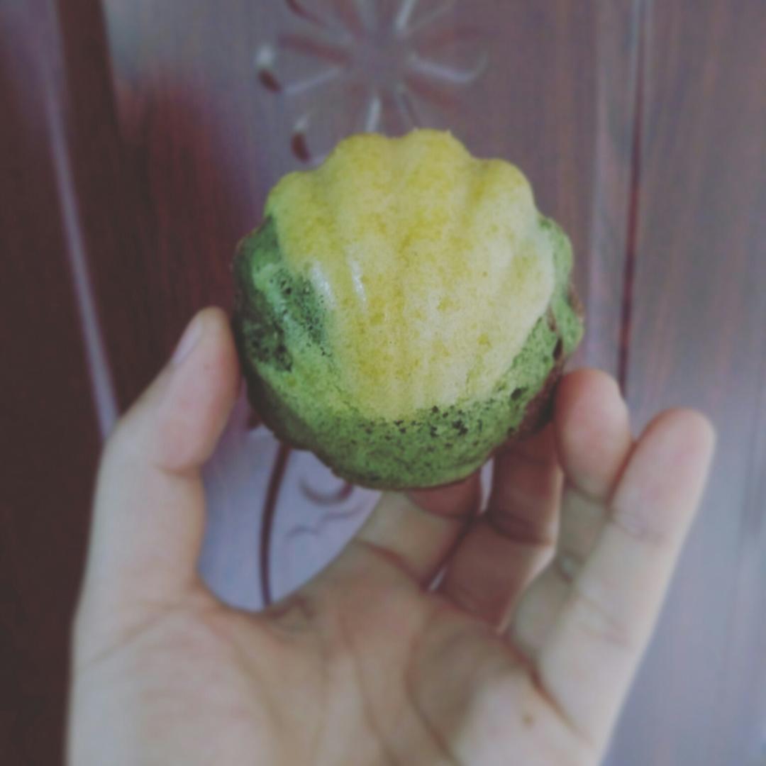 迷彩玛德琳