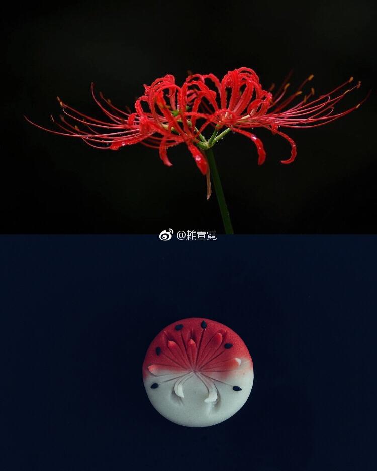 练切菓子｜紫娇花详细做法