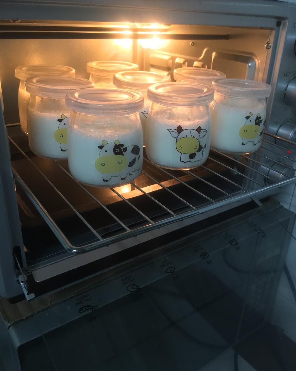烤箱自制酸奶
