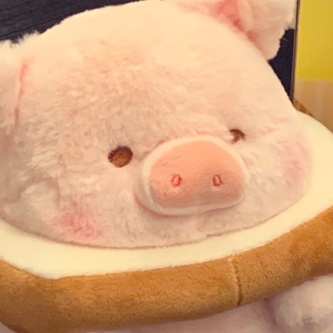 猪猪啃吐司